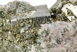 Gleaming Chalcopyrite and Cubic Pyrite on Rhodochrosite - Peru #382030-2